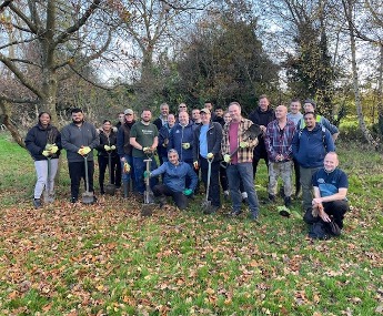 Hedge restoration work