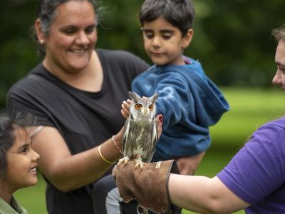 Children playing at National Play Day events at Bantock Park 