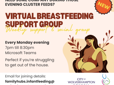 New virtual breastfeeding support group launched